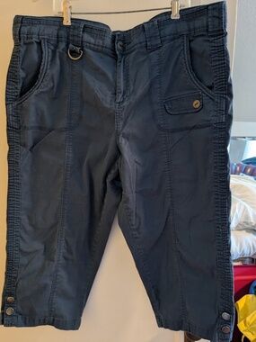 Style & Co. Cotton Blend Blue Capris, Women's 18